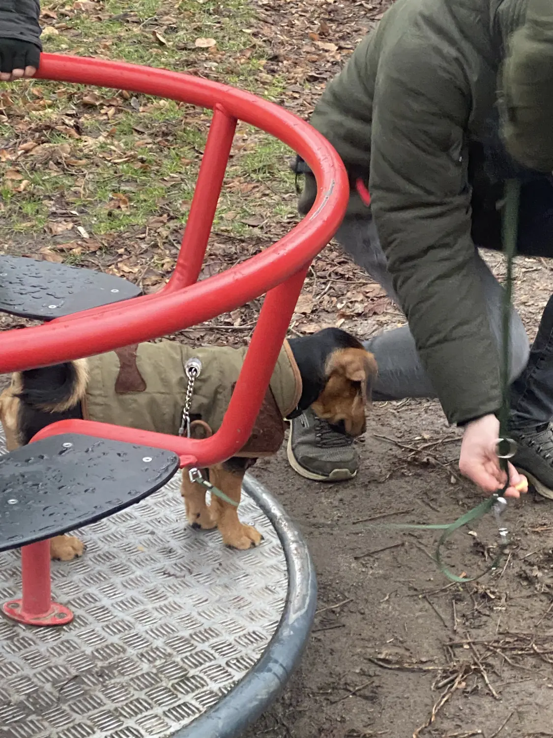 Sachkundenachweis Hund Stuhr