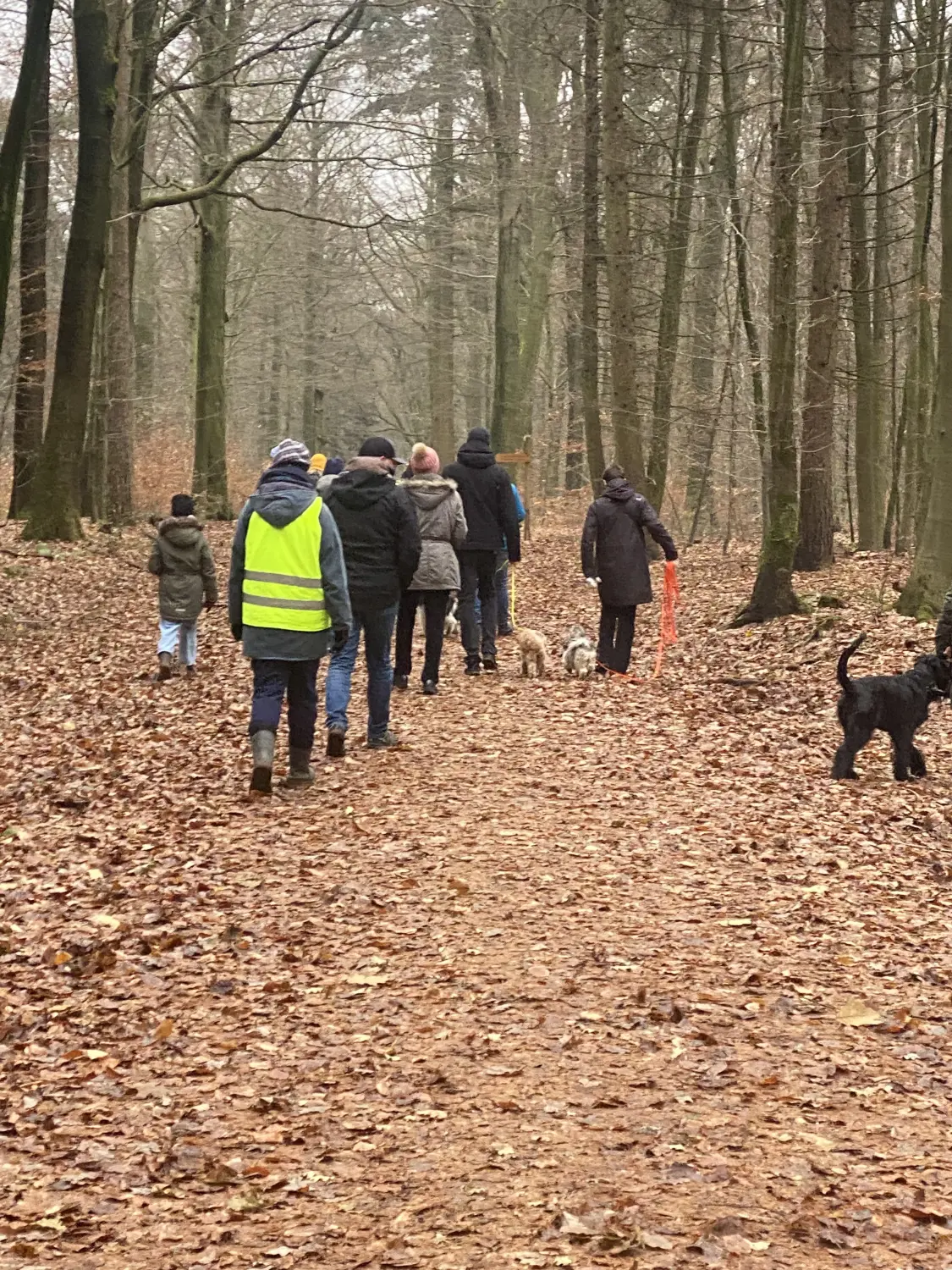 Sachkundenachweis Hund Stuhr