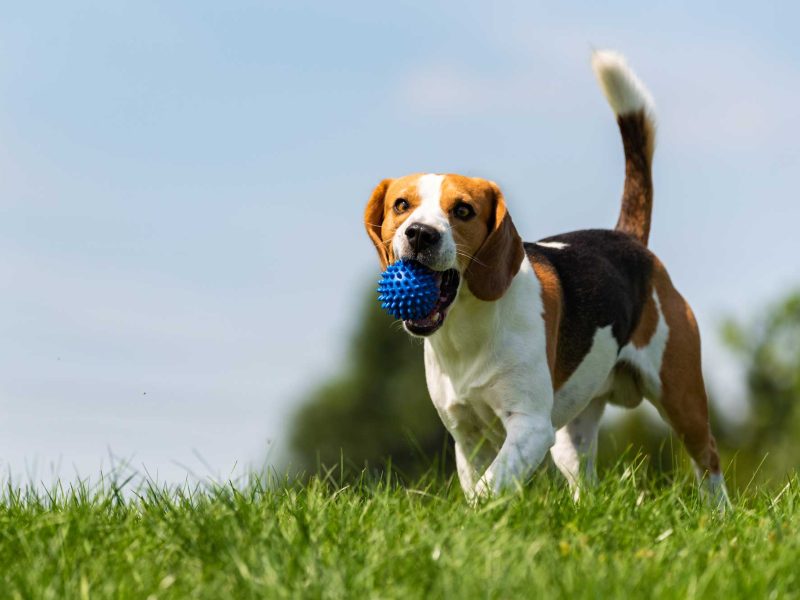 AdobeStock_282576781(1) AdobeStock_282576781(1)