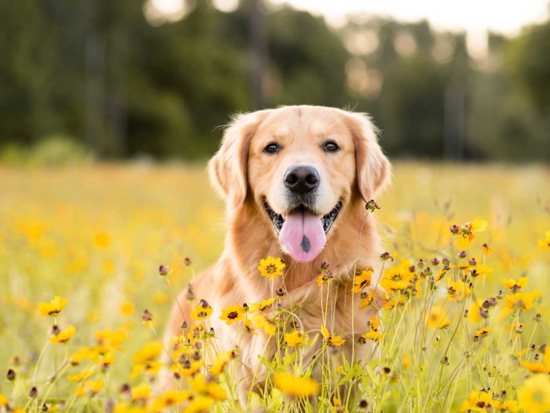 AdobeStock_351492709 AdobeStock_351492709