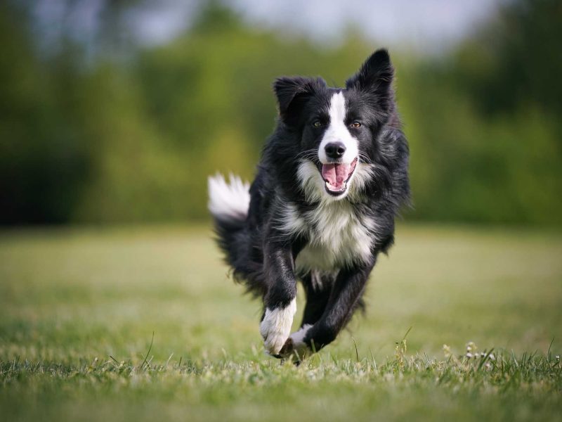 AdobeStock_352046857