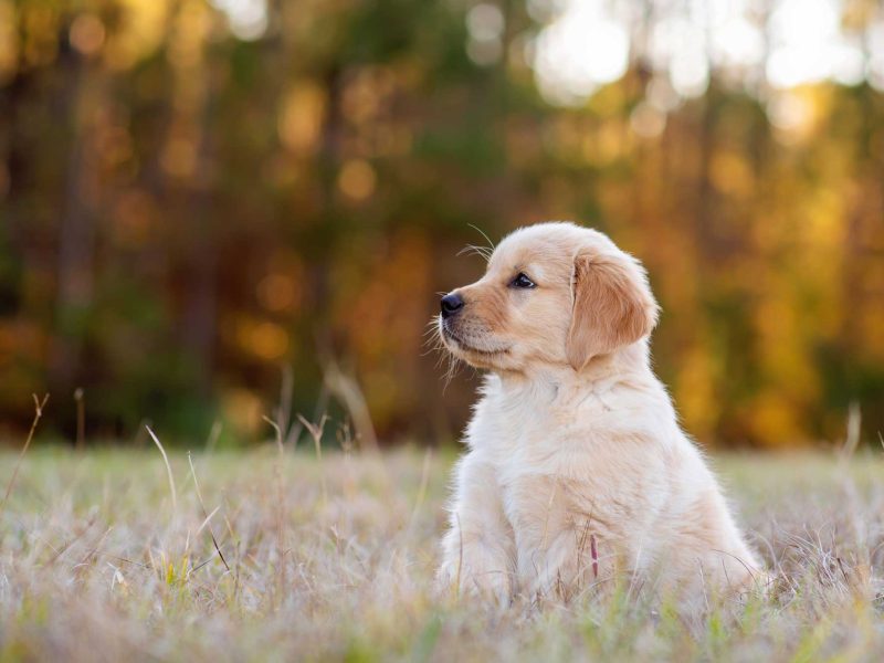 AdobeStock_483468672 AdobeStock_483468672
